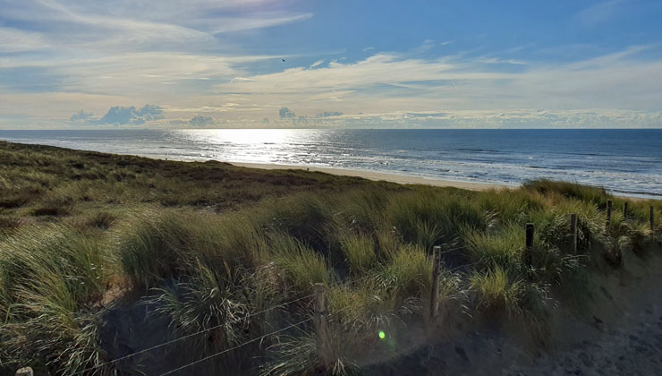 zandfoort duenen