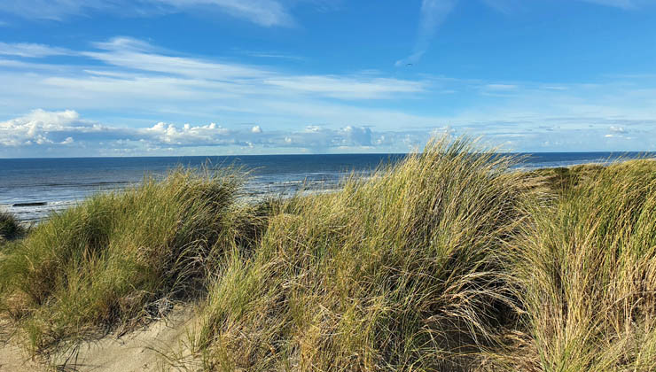 zandfoort wassersport