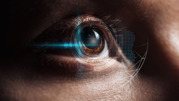 LIGHTFIELD STUDIOS - stock.adobe.com