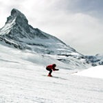 Derk Hoberg; THE OMNIA