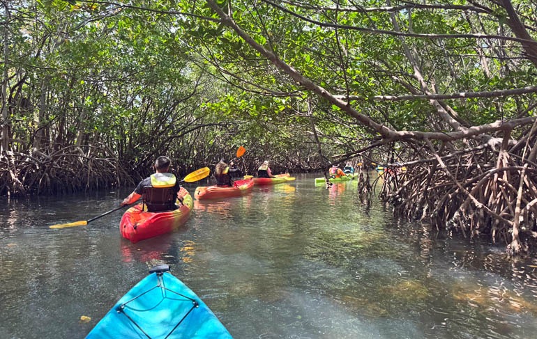 Oleta River Miami Kayak