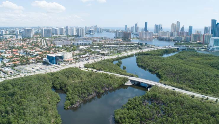 Oleta River